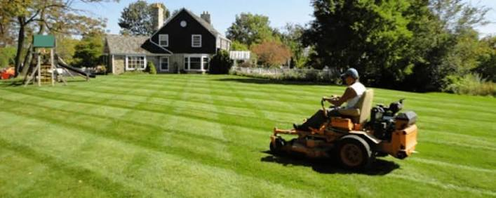 Edging & Spotless Cleanup